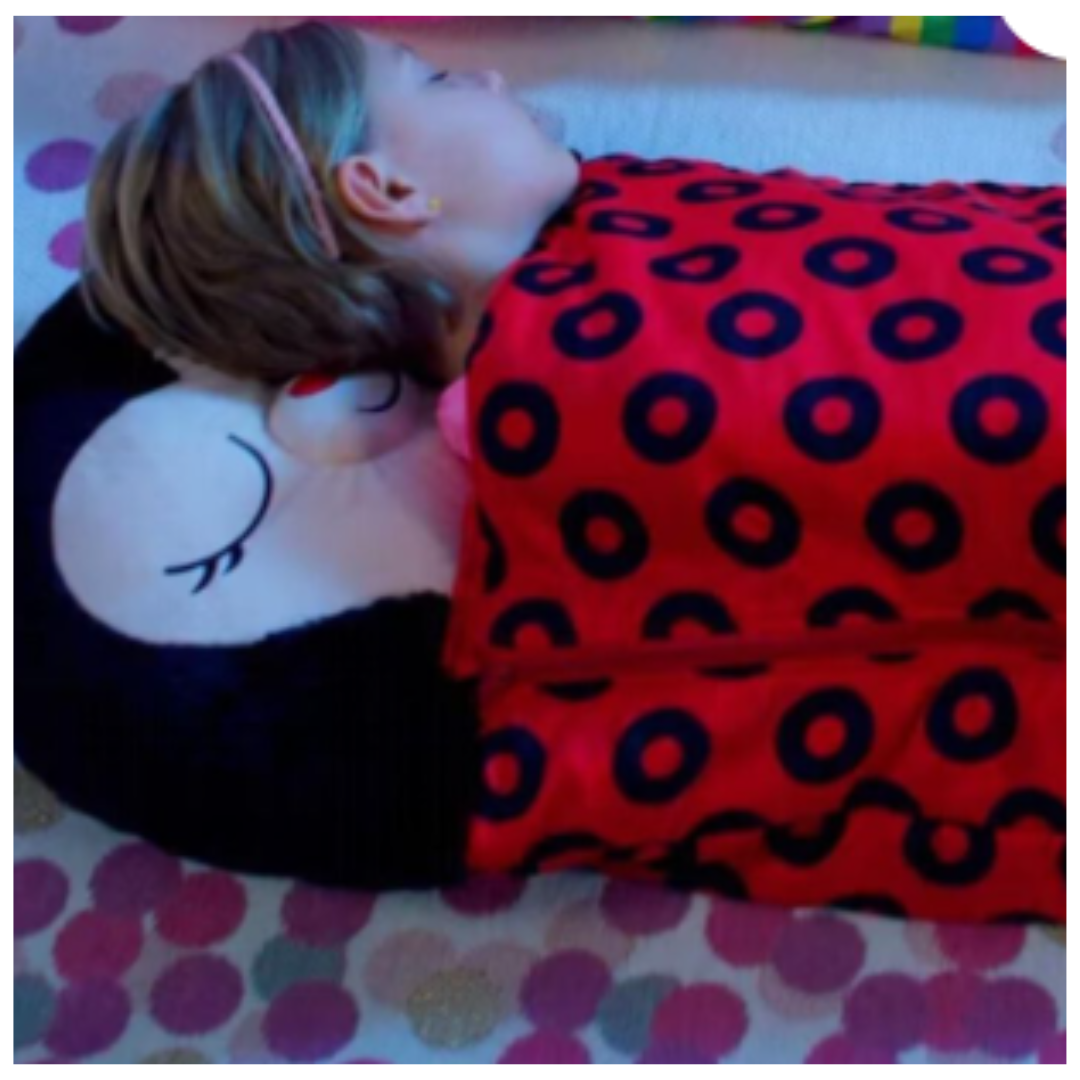 Saco de Dormir 2 en 1 Diseño Catarinas